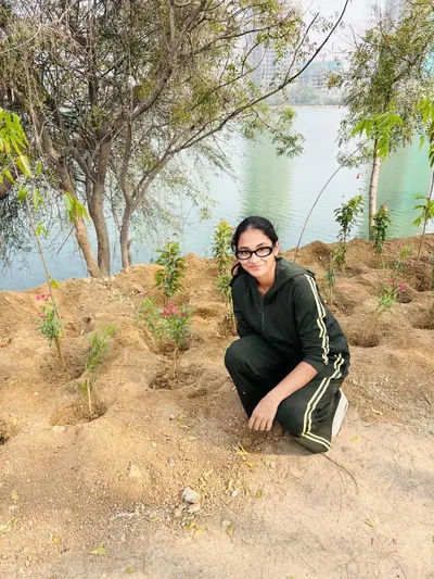 Tree Plantation
